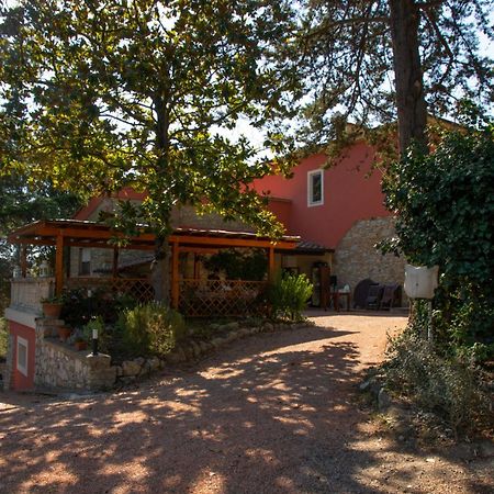Agriturismo Terre Della Rinascita Castelnuovo della Misericordia Bagian luar foto