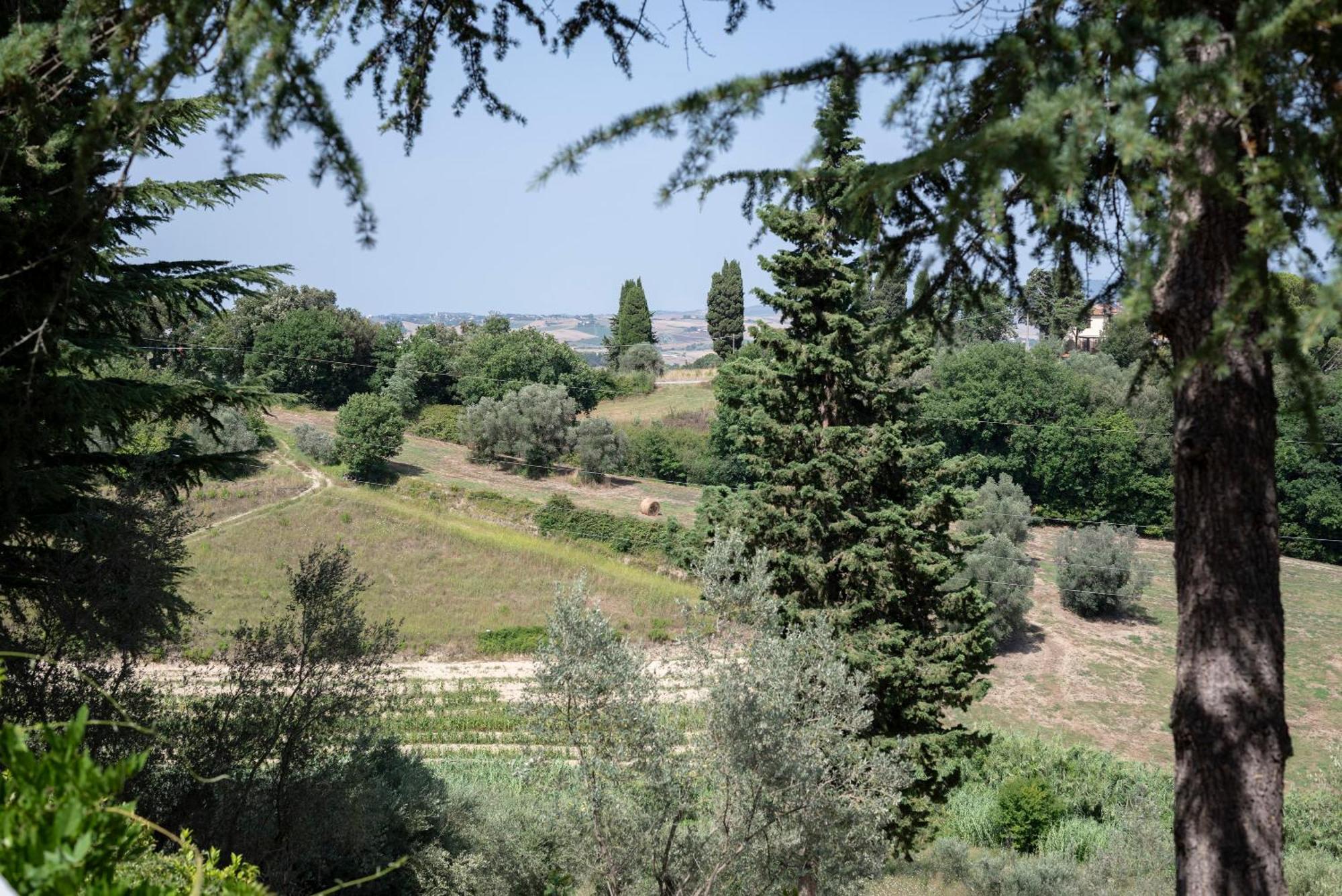 Agriturismo Terre Della Rinascita Castelnuovo della Misericordia Bagian luar foto