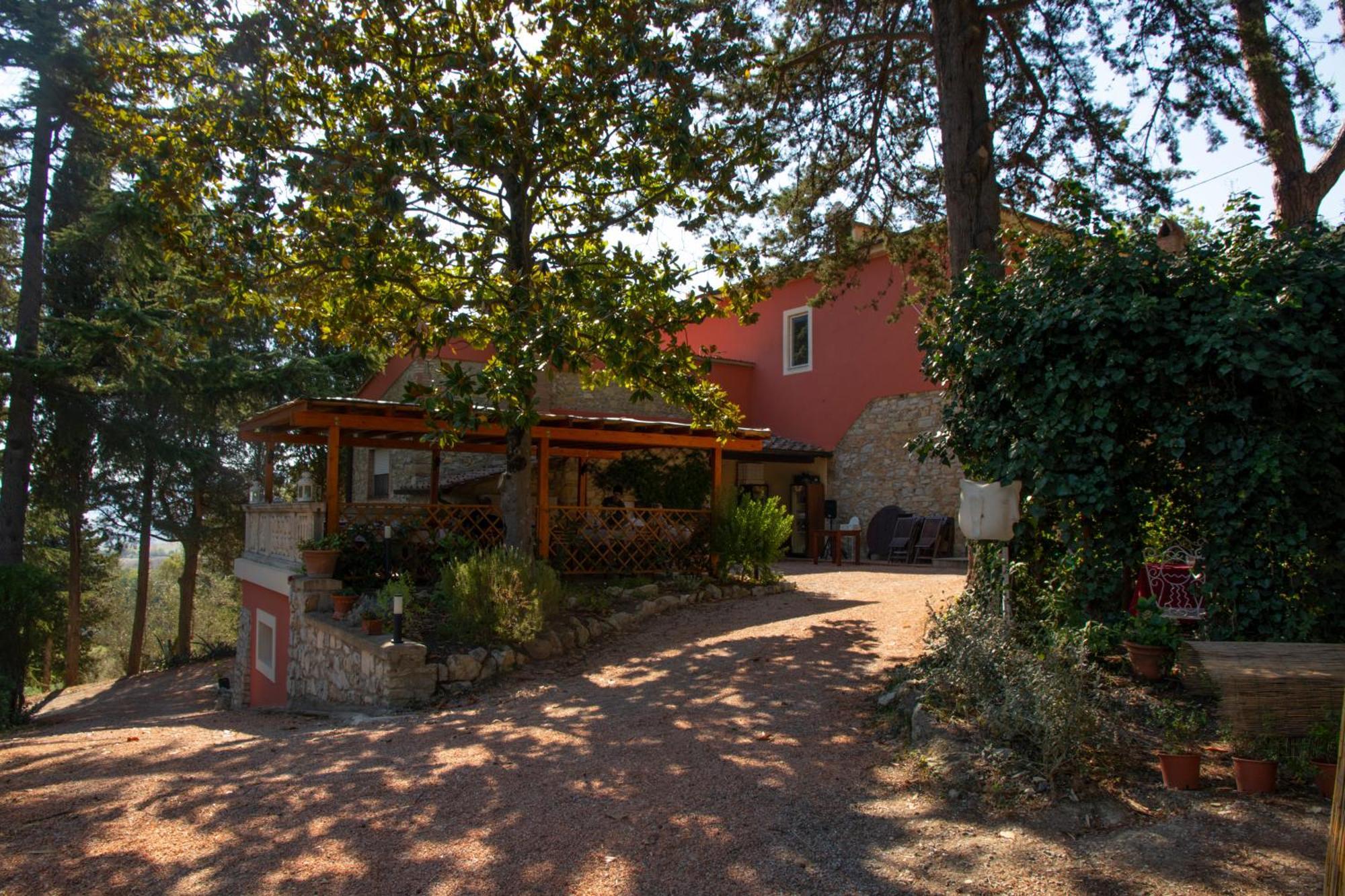 Agriturismo Terre Della Rinascita Castelnuovo della Misericordia Bagian luar foto