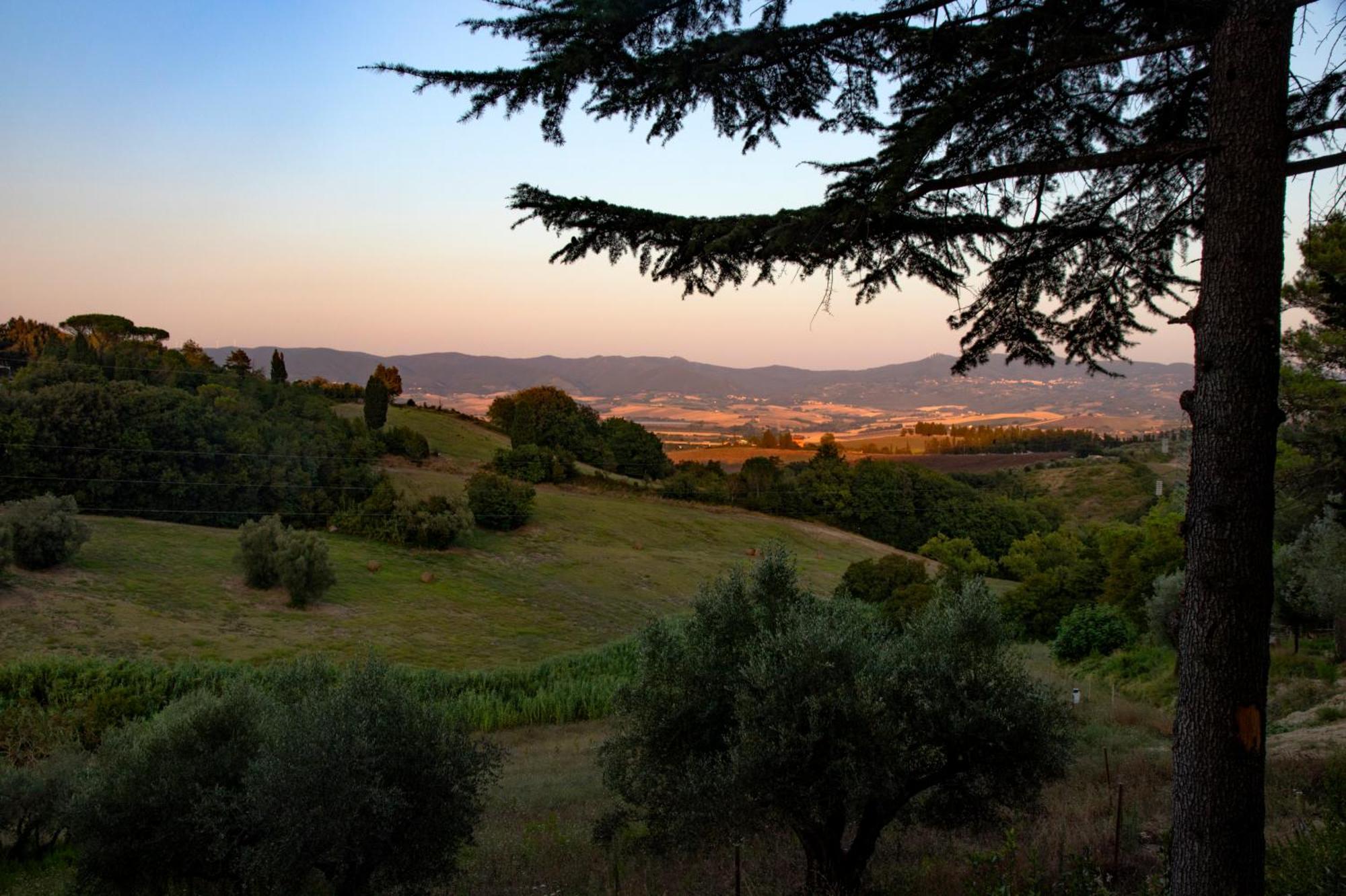 Agriturismo Terre Della Rinascita Castelnuovo della Misericordia Bagian luar foto