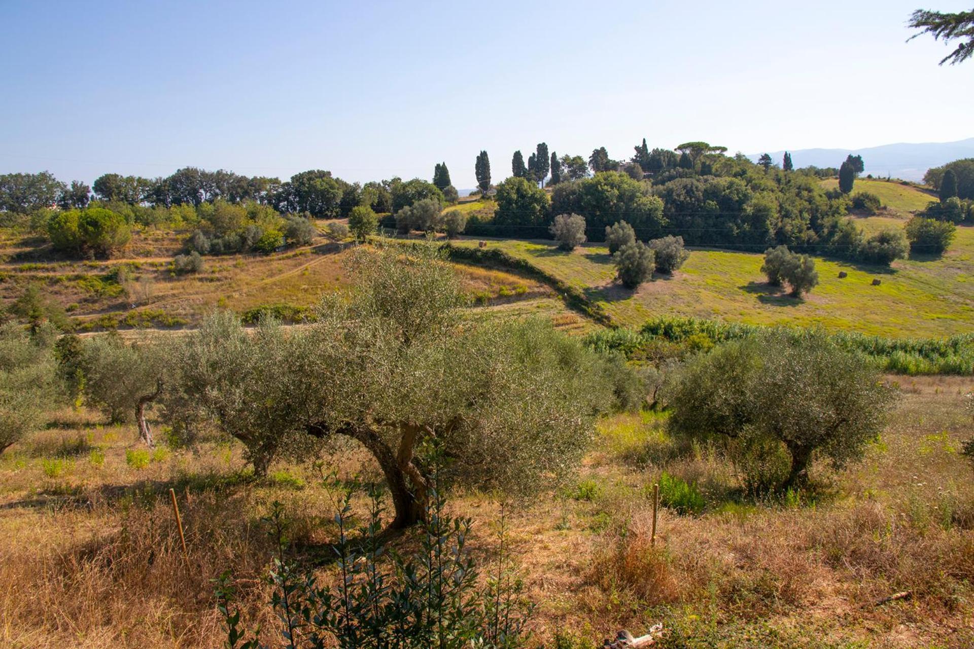 Agriturismo Terre Della Rinascita Castelnuovo della Misericordia Bagian luar foto