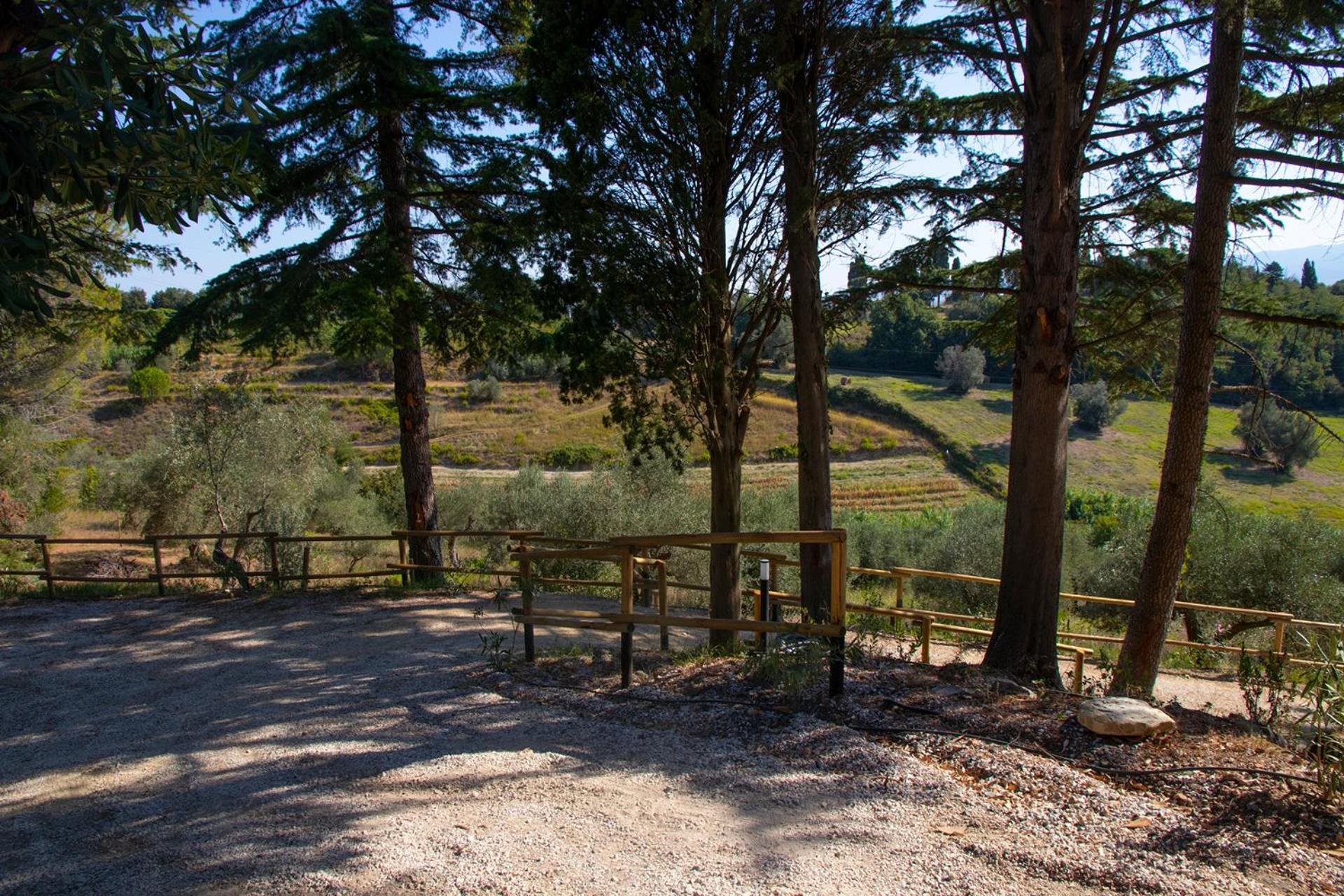 Agriturismo Terre Della Rinascita Castelnuovo della Misericordia Bagian luar foto