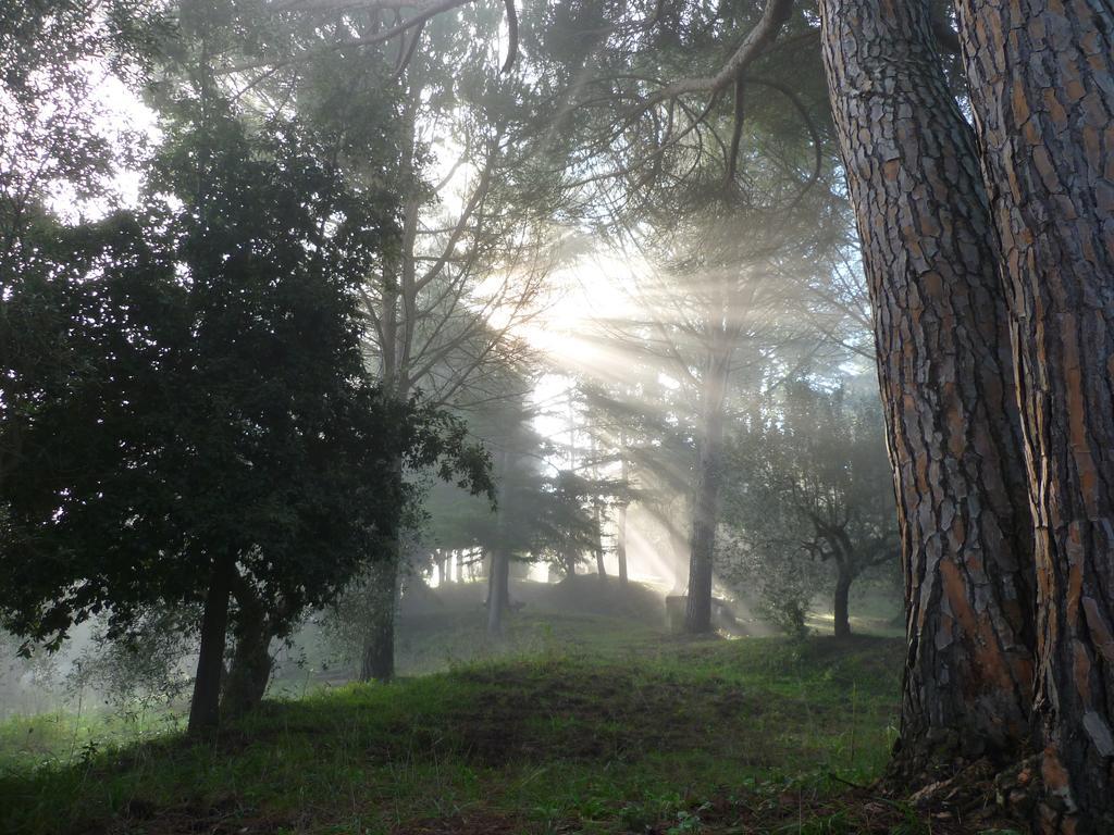Agriturismo Terre Della Rinascita Castelnuovo della Misericordia Bagian luar foto